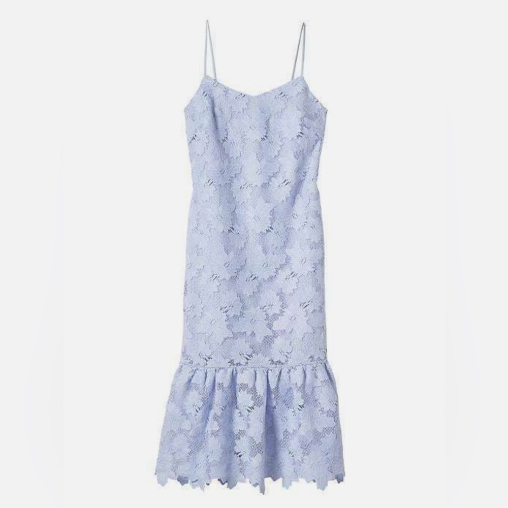 Banana Republic Limited Edition Lace Dress